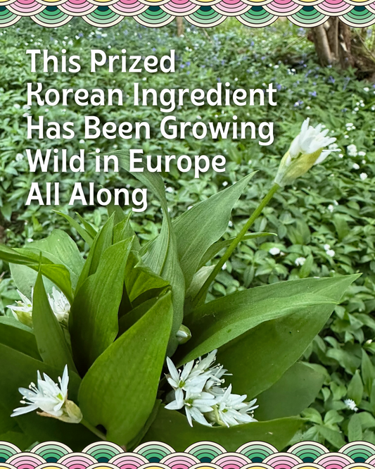 This Prized Korean Ingredient Has Been Growing Wild in Europe All Along 🌿
